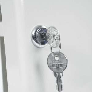 Phoenix 20 Hook Key Box KC0026K with Key Lock